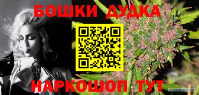 стаф Донецк