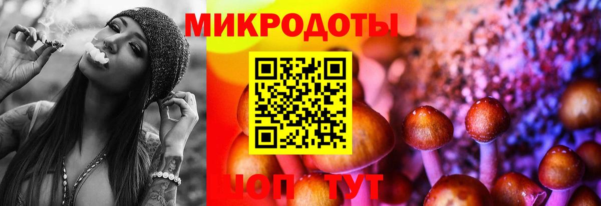 Нижний Тагил  купить наркотики сайты  Вход с VPN  Галлюциногенные грибы мухоморы  Галлюциногенные грибы Psilocybine cubensis 